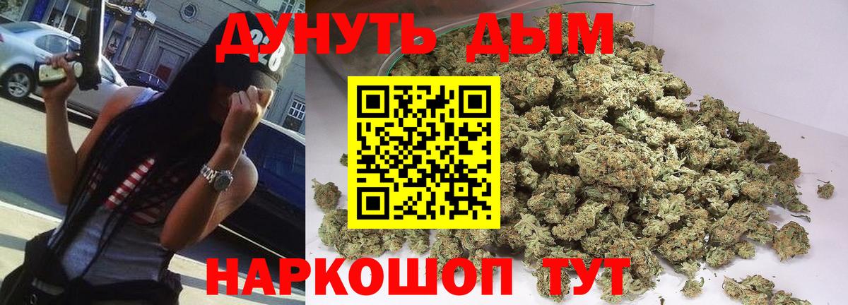 Бошки Шишки планчик Электросталь